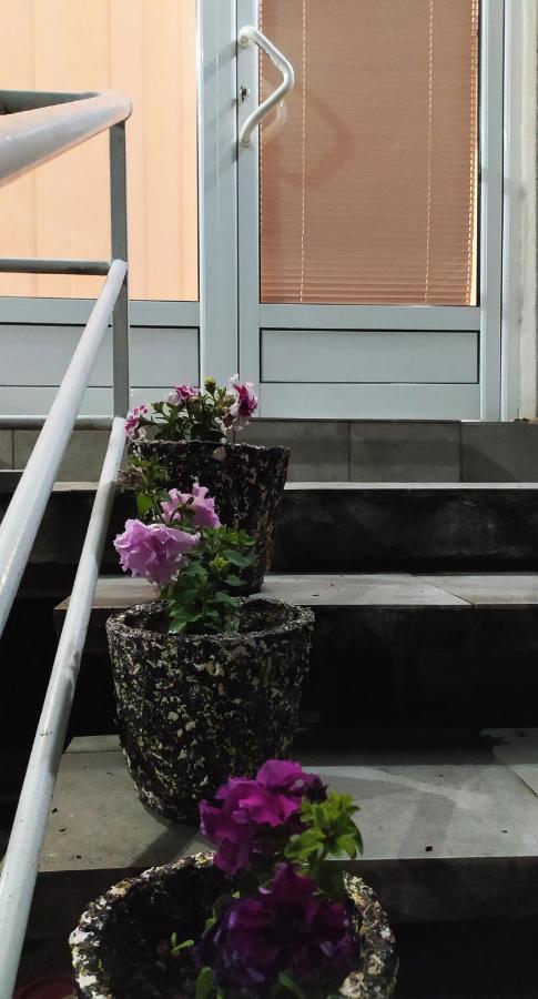Apartman Todorovic Ягодина Экстерьер фото